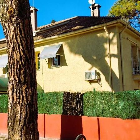 מדריד Hostal Aravaca Garden מראה חיצוני תמונה